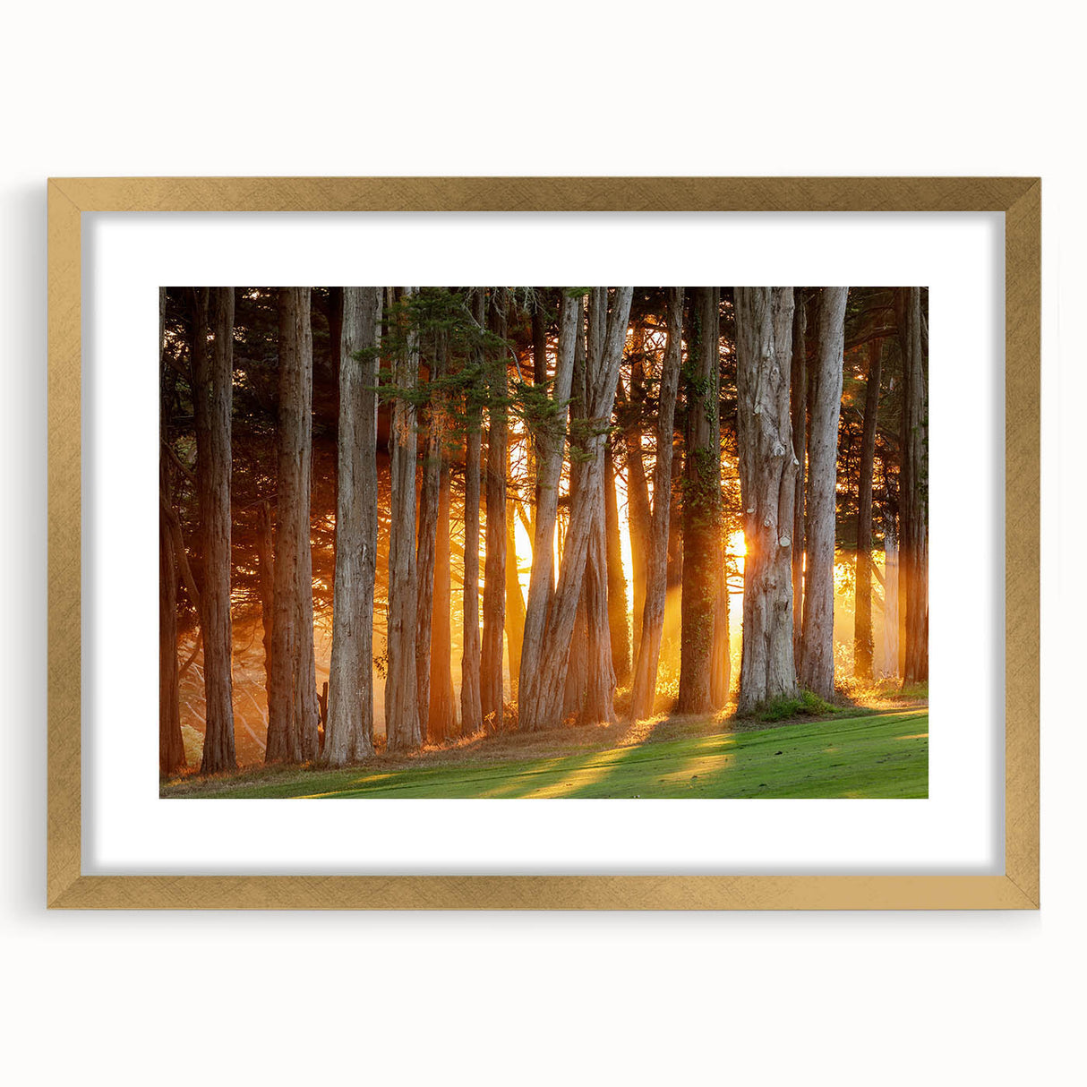Extra large abstract art print of San Francisco scenery in gold frame, ideal for living room decor.