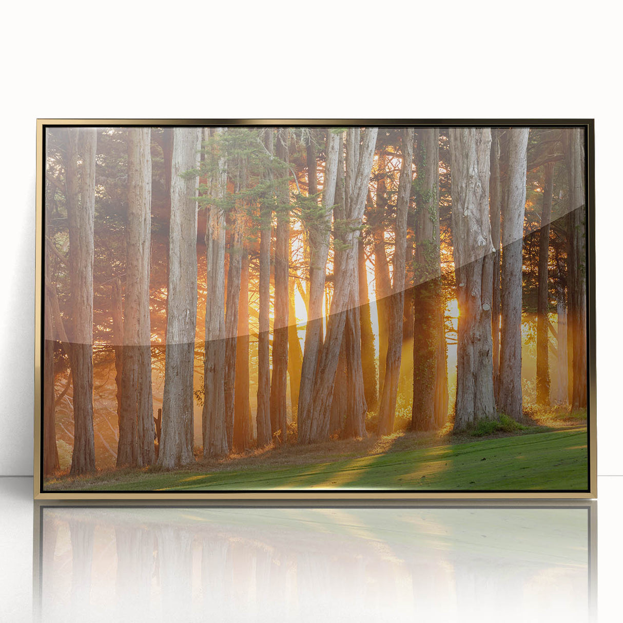 Large art print of San Francisco skyline in muted gold tones on framed acrylic, ideal for modern art wall decor.