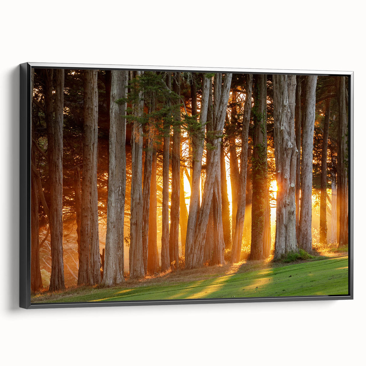 Black and white framed canvas of San Francisco landscape, ideal for bedroom wall art.