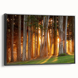 Black and white framed canvas of San Francisco landscape, ideal for bedroom wall art.