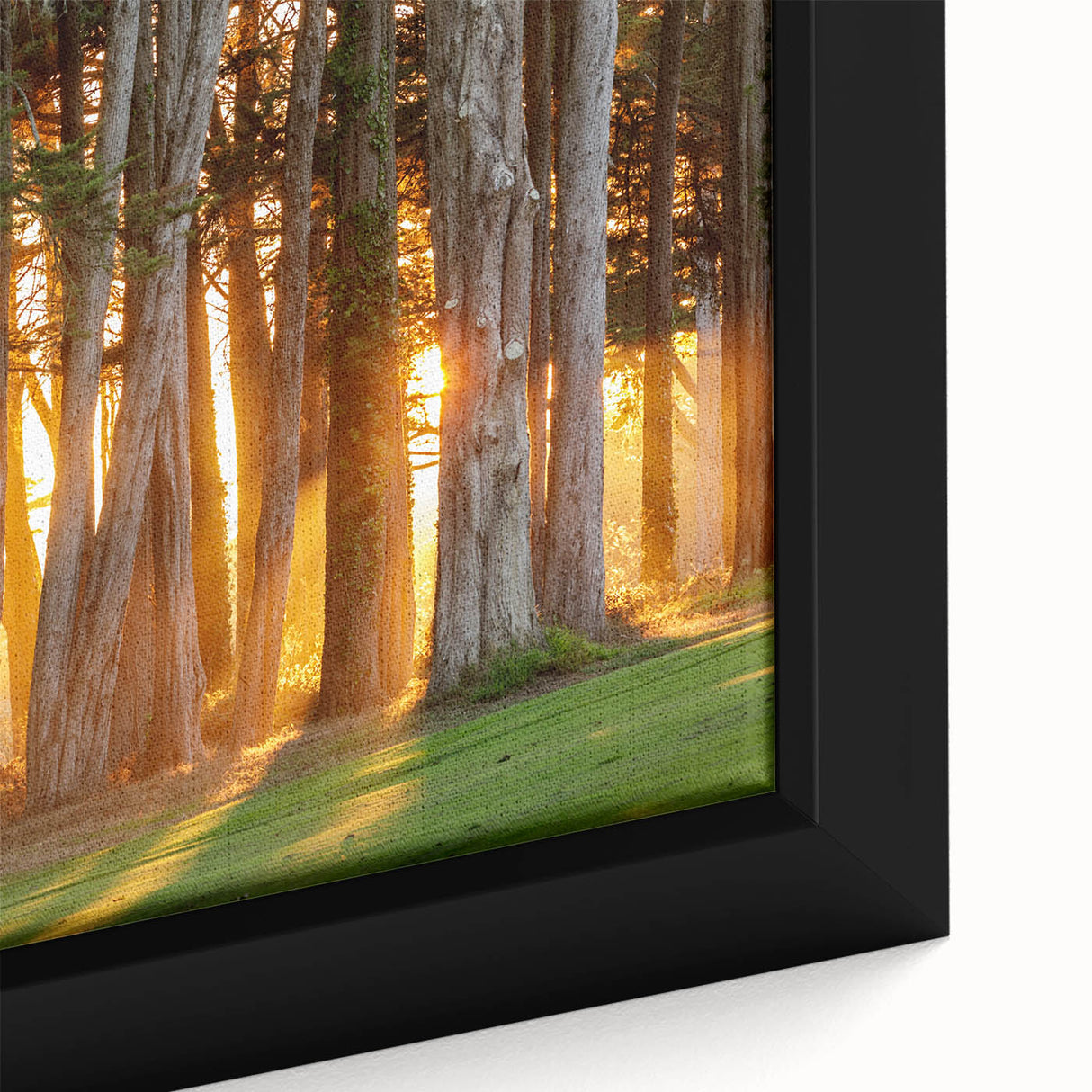 Extra large framed canvas of a textured San Francisco skyline in black with colorful highlights, ideal for living room decor.