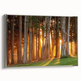 Framed canvas landscape art painting of San Francisco in colorful and black vintage poster style, ideal for office decor.