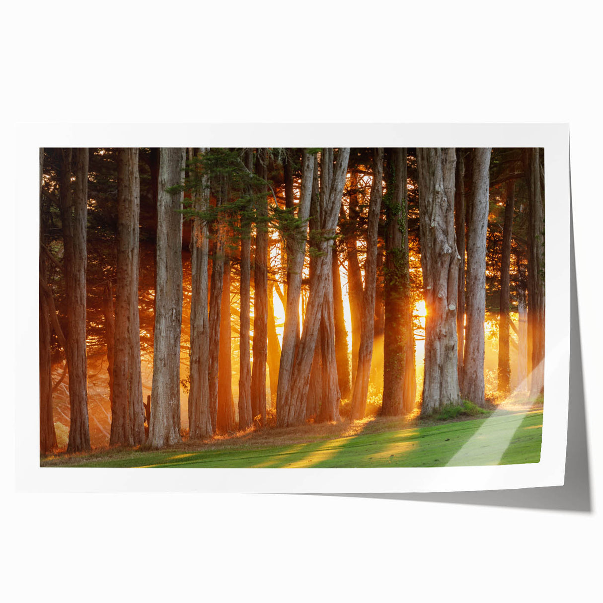 Extra large rolled print of San Francisco scenery, featuring pastel shades, ideal for art wall dining room.