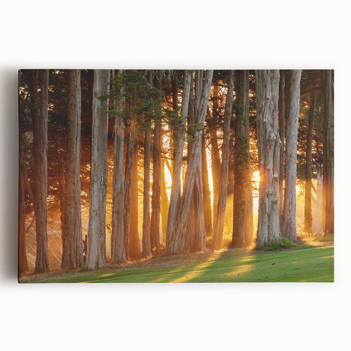 Black and white photo of San Francisco skyline on large stretched canvas, suitable for kitchen wall art.