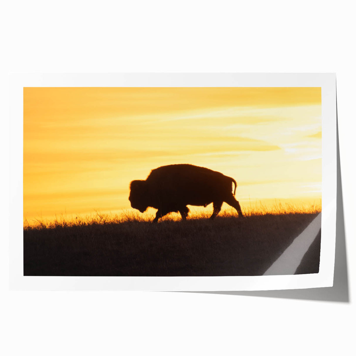 Rolled print of a Kansas scenery with vibrant green and yellow fields, ideal for art wall dining room.