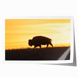 Rolled print of a Kansas scenery with vibrant green and yellow fields, ideal for art wall dining room.