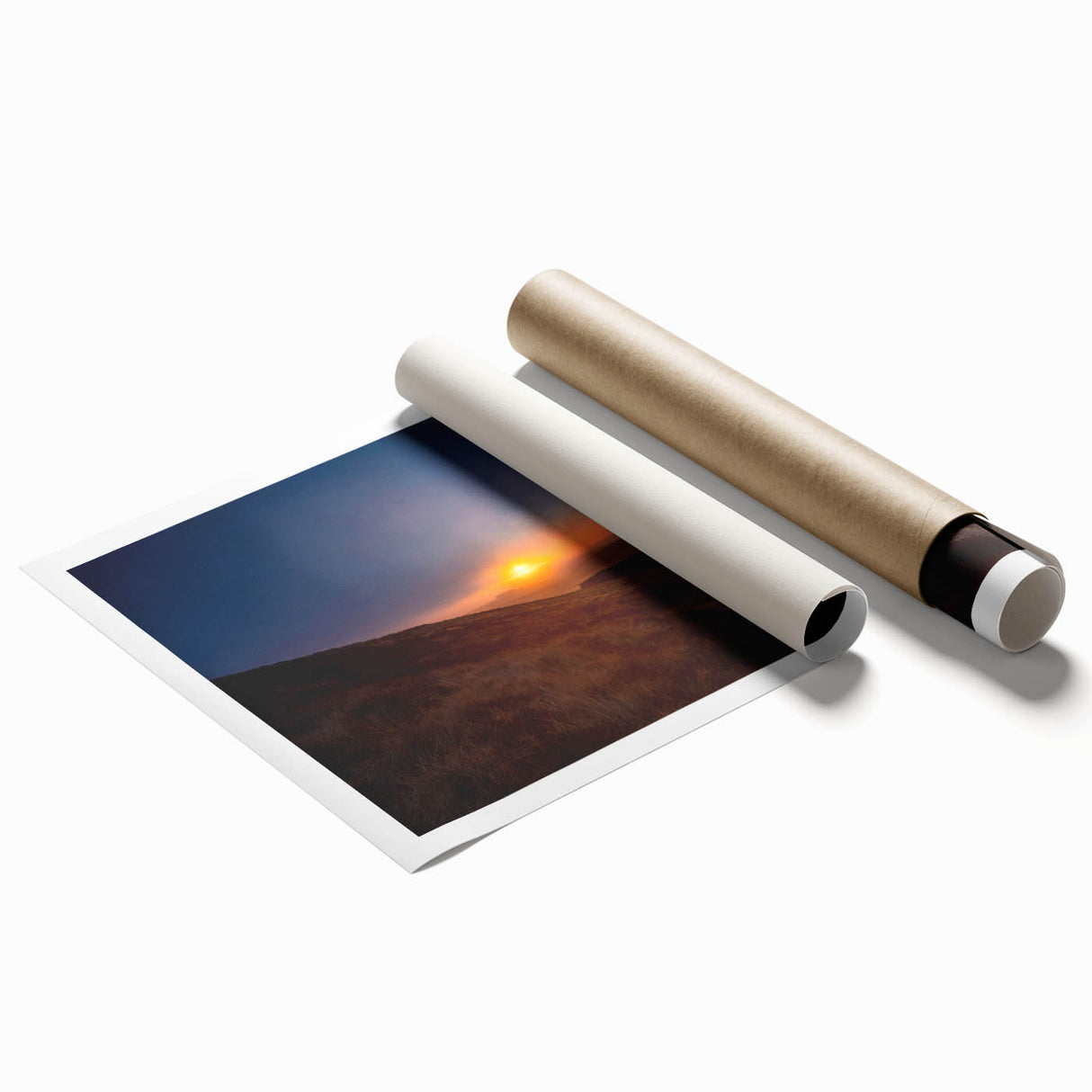 Extra large rolled print of Charlotte, North Carolina skyline in muted gray tones, suitable for classy bathroom wall art.