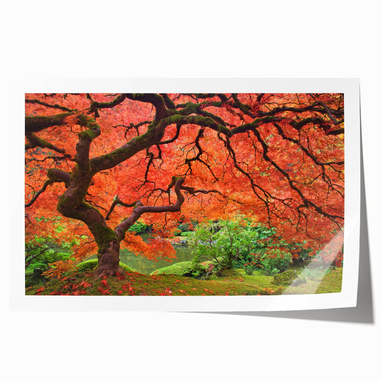 Extra large rolled print of Portland, Oregon scenery with vibrant floral designs, ideal for art wall dining room.