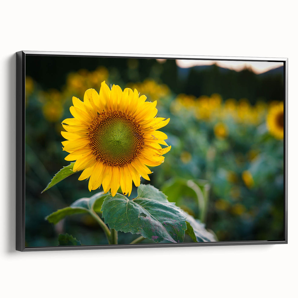 Black and white landscape art painting of Pennsylvania scenery on framed canvas, suitable for bedroom wall decor.