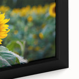 Extra large framed canvas featuring a textured depiction of a Pennsylvania landscape in black with colorful accents.