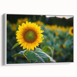 Vintage poster art of Pennsylvania scenery on a framed canvas with colorful art accents, ideal for living room decor.
