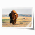 Yellowstone scenic landscape on rolled print, featuring green meadows and distant mountains, suitable for dining room decor.
