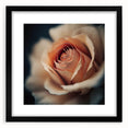 Abstract floral wall art in a black frame with a mat, showcasing vibrant colors and intricate designs, perfect for enhancing modern home decor aesthetics.