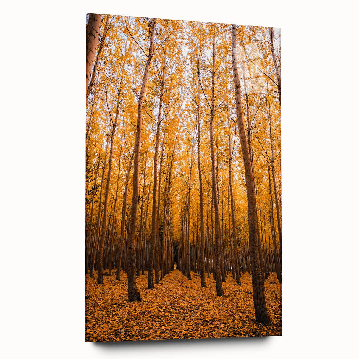 Large abstract wall art in warm autumn hues on acrylic glass, ideal for bedroom or dining room decor.