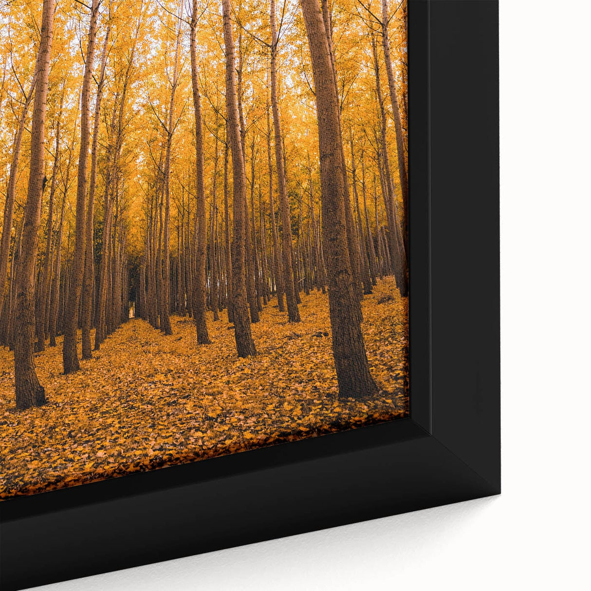 Framed canvas featuring a textured, black wall art with colorful, abstract fall motifs, ideal for living room decor.