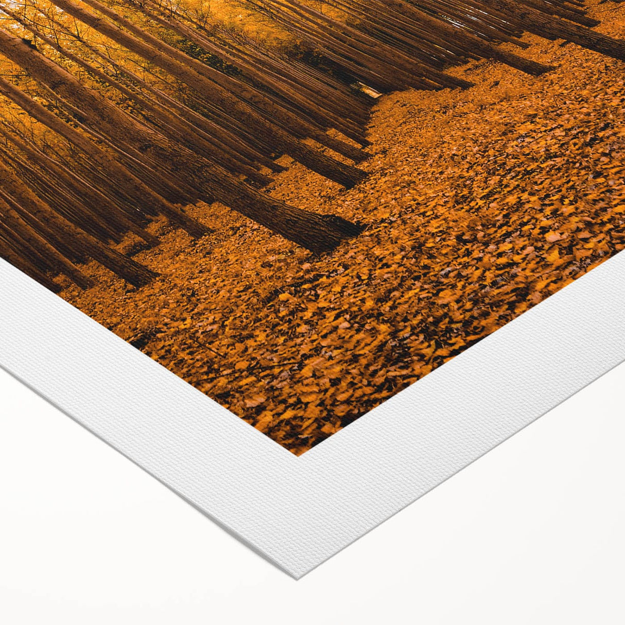 Art deco poster featuring an autumnal scene with warm orange and brown tones on a rolled canvas.