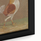 Romantic Era Art: "Pale-Breasted Fighting Cock" by John F. Herring