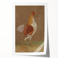 Romantic Era Art: "Pale-Breasted Fighting Cock" by John F. Herring