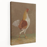 Romantic Era Art: "Pale-Breasted Fighting Cock" by John F. Herring