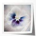 Abstract floral wall art print showcasing vibrant colors and intricate designs, featuring a glossy finish, perfect for modern home decor or artistic spaces.