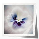 Abstract floral wall art print showcasing vibrant colors and intricate designs, featuring a glossy finish, perfect for modern home decor or artistic spaces.