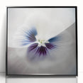 Framed abstract floral wall art in shades of black and white, showcasing intricate designs with a modern aesthetic, perfect for contemporary home decor.