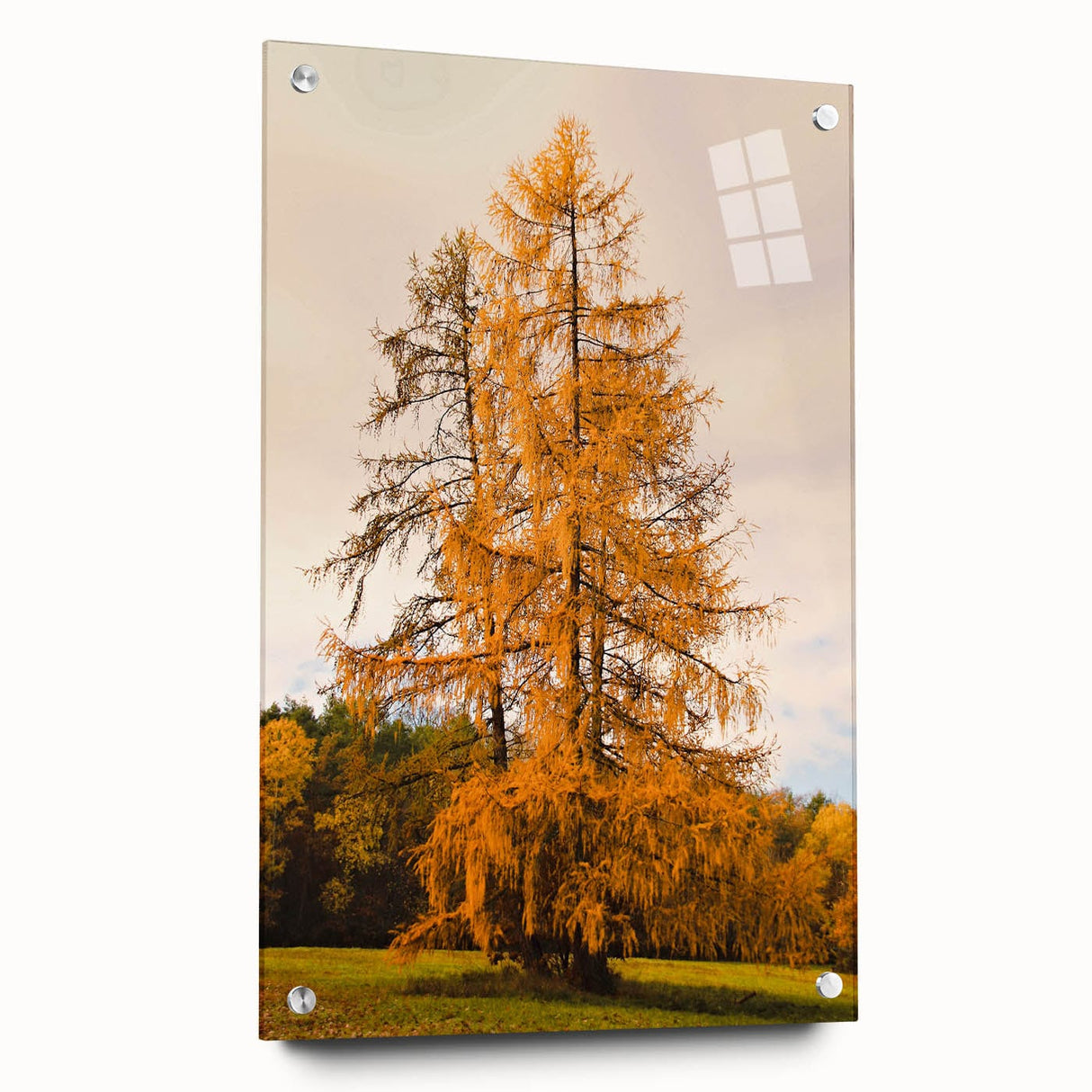 Large abstract wall art featuring warm autumn hues on acrylic glass, suitable for bedroom or dining room decor.