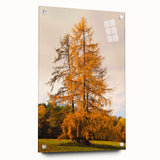 Large abstract wall art featuring warm autumn hues on acrylic glass, suitable for bedroom or dining room decor.