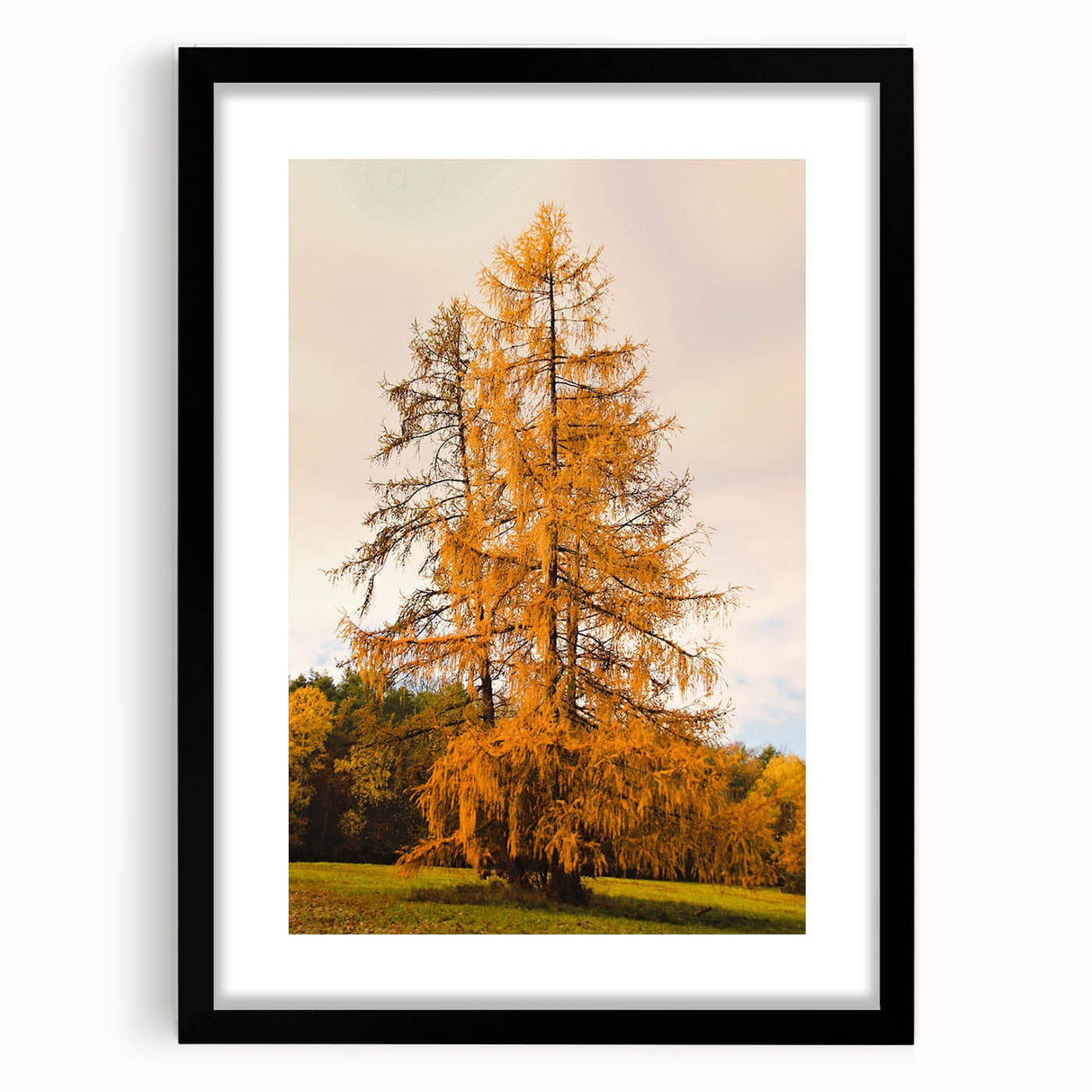 Abstract art print featuring textured fall colors in an extra-large black frame, ideal for living room decor.