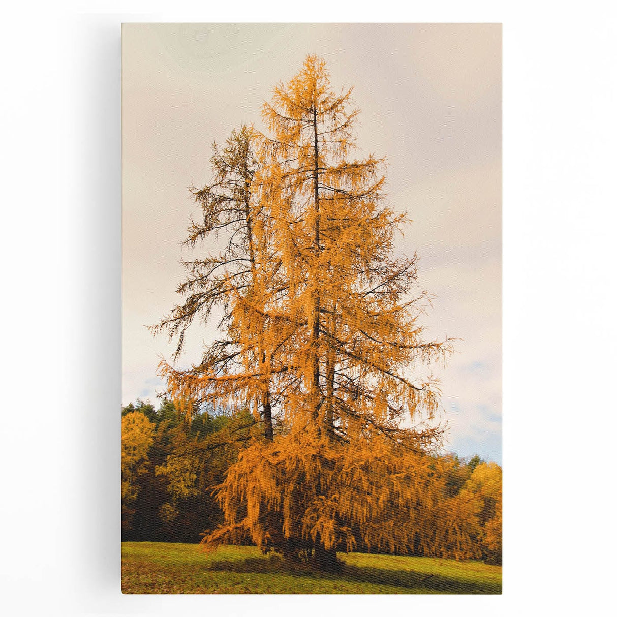 Large black and white stretched canvas featuring a minimalist tree design, ideal for kitchen wall art.