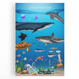 Underwater Marine Life Educational Wall Art - Kids' Learning Poster