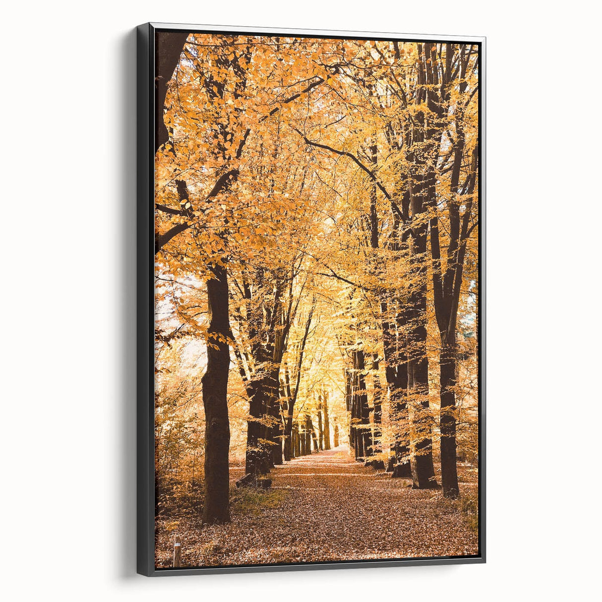 Black and white framed canvas of a vintage landscape painting, ideal for bedroom wall decor.