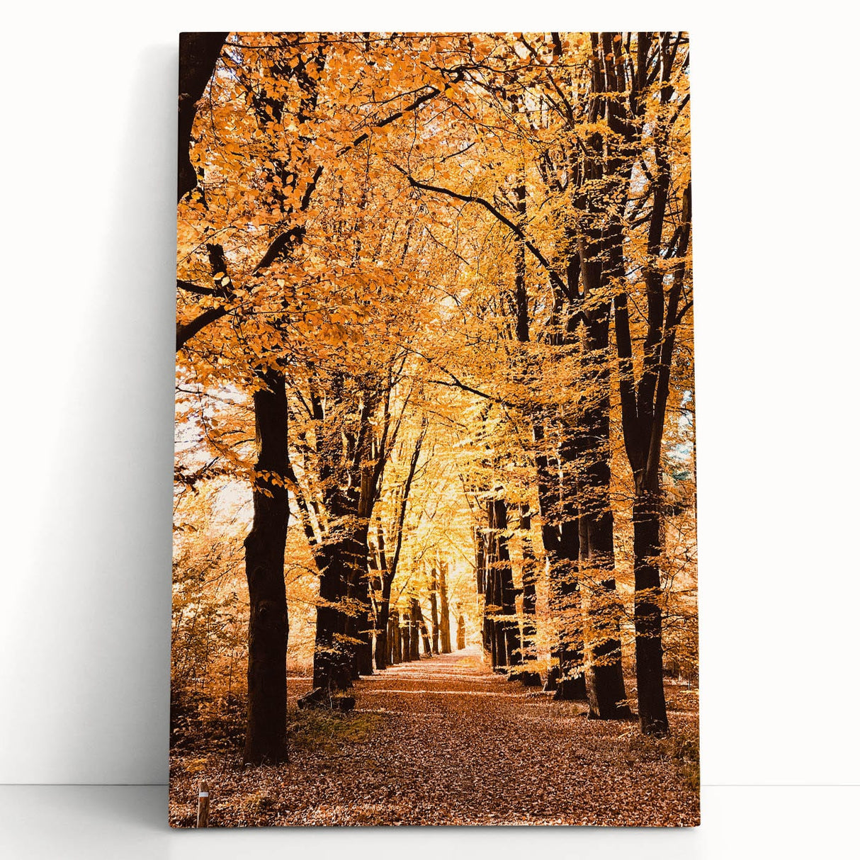 Black and white abstract tree design on large stretched canvas, ideal for kitchen wall art or bedroom ambiance.