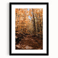 Extra large colorful abstract art print on canvas with textured design in vibrant autumn hues, ideal for living room decor.