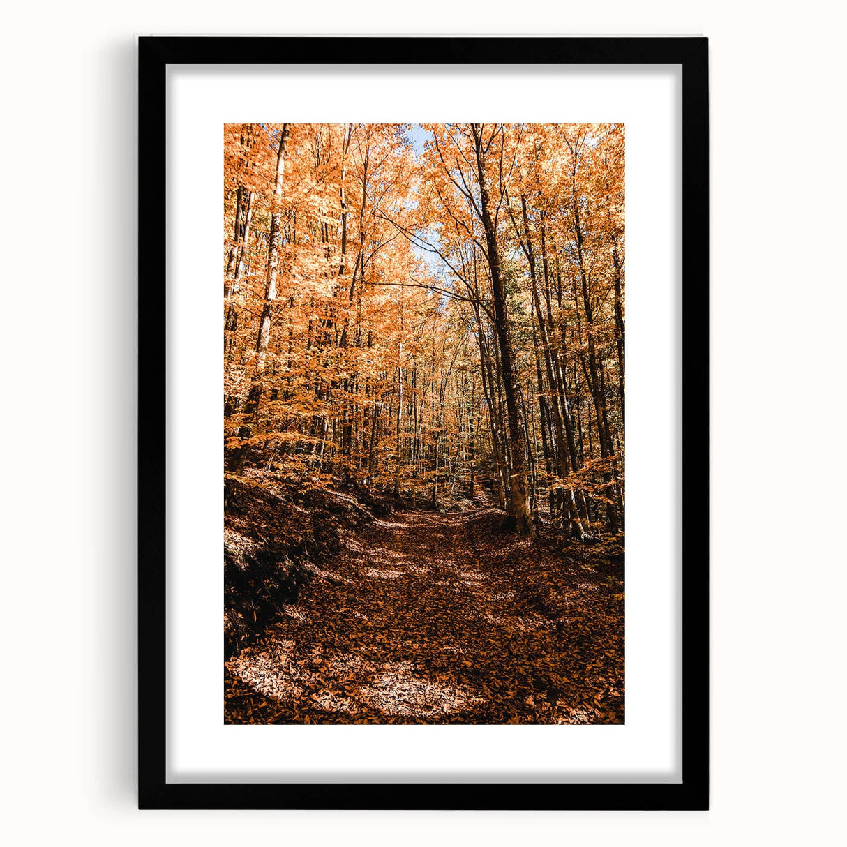 Extra large colorful abstract art print on canvas with textured design in vibrant autumn hues, ideal for living room decor.