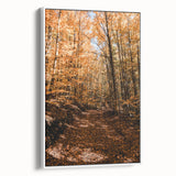 Vintage poster art of autumn leaves in vibrant red and orange on a large framed canvas, ideal for living room decor.