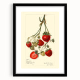 Extra large abstract art print featuring colorful, textured fruits on a black framed canvas, ideal for living room decor.