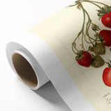 Art deco poster of assorted colorful fruits on rolled canvas, ideal for nursery wall art or dining room decor.