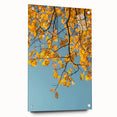 Large abstract wall art featuring warm fall colors on acrylic glass, ideal for bedroom or dining room decor.
