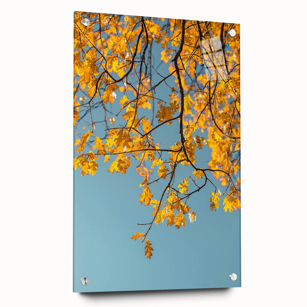Large abstract wall art featuring warm fall colors on acrylic glass, ideal for bedroom or dining room decor.