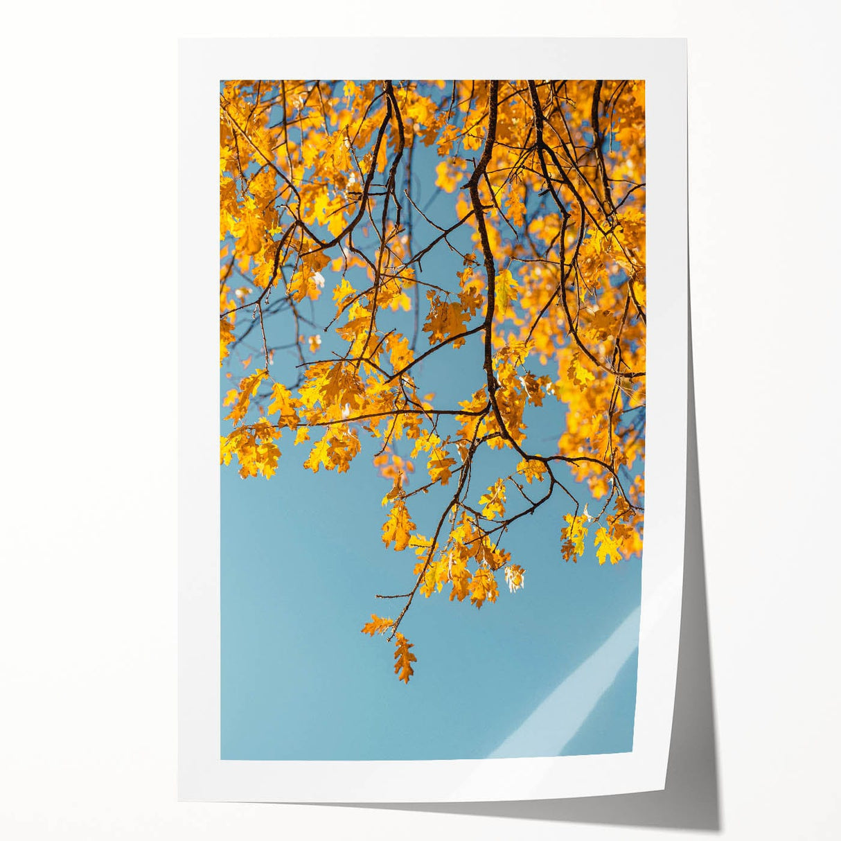 Extra large rolled print of autumnal floral art in warm orange and red tones.