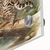 Romantic Era Art: "Ocelot or Leopard Cat" by John Woodhouse Audubon