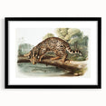 Romantic Era Art: "Ocelot or Leopard Cat" by John Woodhouse Audubon