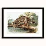 Romantic Era Art: "Ocelot or Leopard Cat" by John Woodhouse Audubon