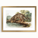 Romantic Era Art: "Ocelot or Leopard Cat" by John Woodhouse Audubon