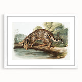 Romantic Era Art: "Ocelot or Leopard Cat" by John Woodhouse Audubon