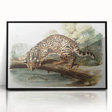 Romantic Era Art: "Ocelot or Leopard Cat" by John Woodhouse Audubon