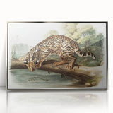 Romantic Era Art: "Ocelot or Leopard Cat" by John Woodhouse Audubon