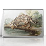 Romantic Era Art: "Ocelot or Leopard Cat" by John Woodhouse Audubon