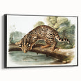 Romantic Era Art: "Ocelot or Leopard Cat" by John Woodhouse Audubon